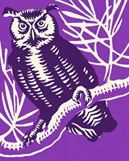 Perch Prints: Owl Perched on a Branch