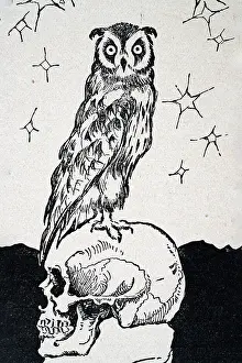 Jugendstil Prints: Owl sitting on a human skull, Art Nouveau, Jugendstil, 1899, Vintage illustration