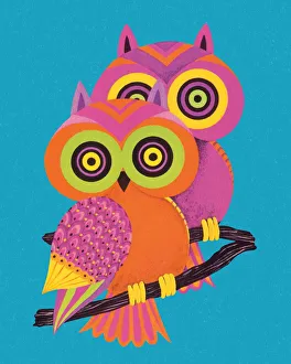 Images Dated 2nd February 2015: Two Owls