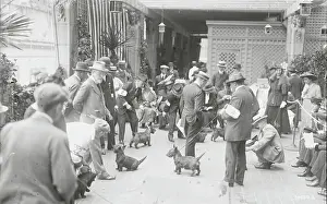 Mineola Prints: Owners with Scottish Terriers at Dog Show