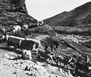 Trail Prints: Oxen Draw Supply Train for Building RR
