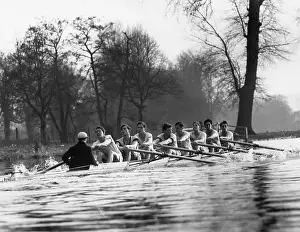 Row Boat Prints: Oxford Crew