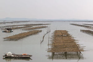 Images Dated 22nd April 2015: Oyster farm near halong bay
