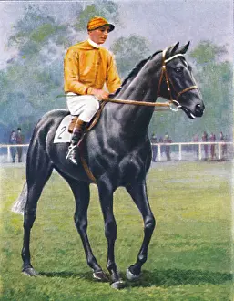 Racetrack Prints: Foray