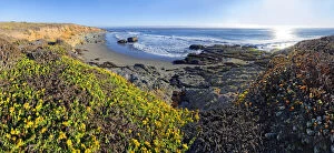 Pacific beach overgrown with mosses and lichen near Cambria, California, United States