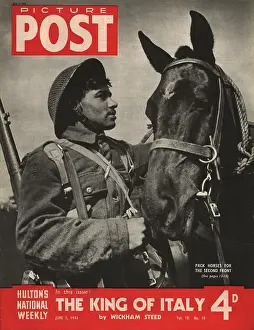 Allied Army Prints: Pack Horse