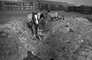 Sportswear Prints: Pack Horse Training