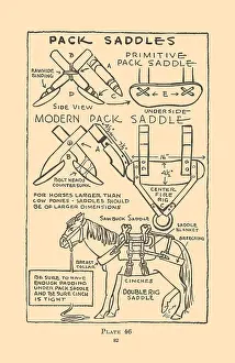 Pack Prints: Pack Saddles