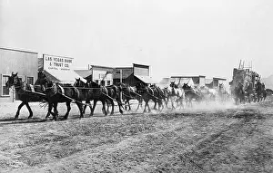 Supply Prints: Pack Of Team Mules Pulling A Wagon