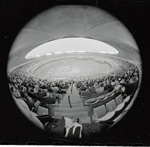 Packed Stadium