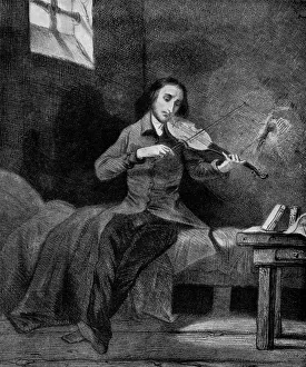Images Dated 26th September 2018: PAGANINI (XXXL)
