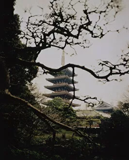 Images Dated 31st December 2002: Pagoda Near Trees