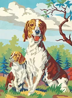 Paint-by-numbers dogs