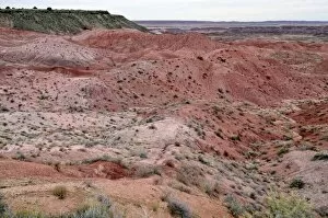 Images Dated 11th November 2011: Painted Desert, hills, desert landscape, view from Tiponi Point, Painted Desert, Holbrook, Arizona