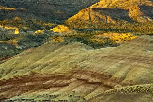 Images Dated 25th July 2016: Painted Hills, John Day Fossil Beds National Monument, Mitchell, Oregon, USA