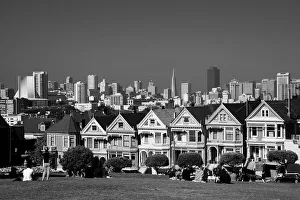 Images Dated 5th July 2013: Painted ladies