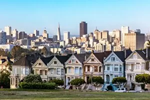 Lawn Collection: Painted ladies and skyline of San Francisco