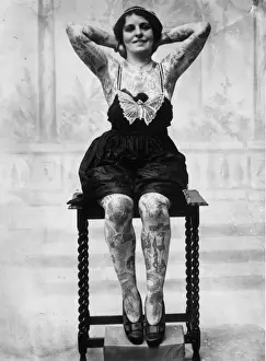 Furniture Prints: Painted Lady