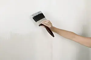 Paint Brush Prints: Painting on board sealant