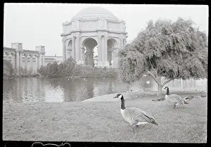 The Palace of Fine Arts in San Francisco
