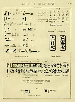 Images Dated 17th September 2014: Palaeography Egyptian hieroglyphics interpreted