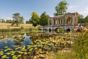 Images Dated 25th July 2014: Palladian Bridge and Water Lilies
