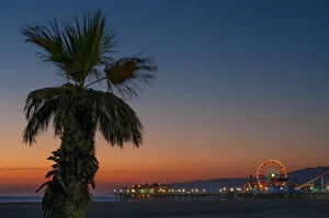 Cultural Image Gallery: Palm tree on beach at sunset