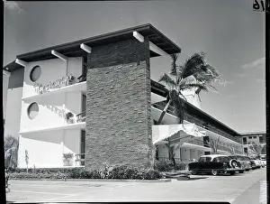 Motel Prints: Palm Tree Blows in the Wind at Motel