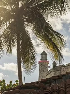 Images Dated 6th June 2015: Palm tree near El Morro Fortress, Havana, Cuba