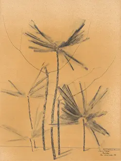 Art Gallery Prints: Palm Trees