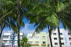 Palm Collection: Palm trees and art deco buildings