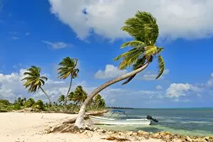 Palmaceae Gallery: Palm trees and a boat on the beach, Costa Maya, Quintana Roo, Mexico