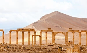 Images Dated 11th October 2010: Palmyra arches against desert dunes