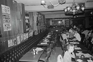 Palomino Club