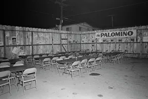 Palomino Club