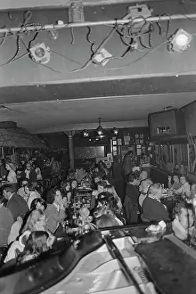 Palomino Club