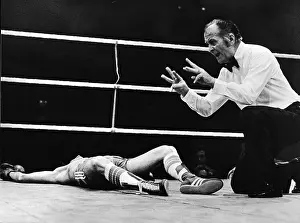 Palomino V Green For Welterweight Championship