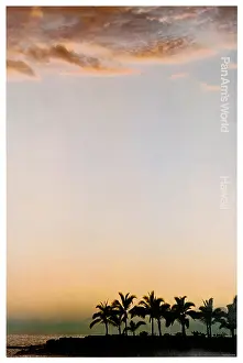 Pan Am Hawaiian Palms Poster