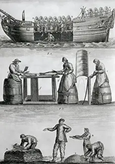 Three Panels Of Fish Industry In 1770