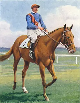 Racetrack Prints: Panorama