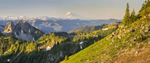 Images Dated 29th July 2016: Panorama of Mt. Adams, Goat Rocks and Double Peak seen from Tamanos Mountain at Mt
