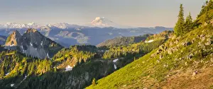 Panorama of Mt. Adams, Goat Rocks and Double Peak seen from Tamanos Mountain at Mt. Rainier National Park, Washington State, USA