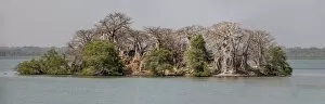Images Dated 28th January 2016: Panorama photo of Kunta Kinte Island, formerly James Island, The Gambia