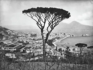 Naples Prints: Panoramic Aerial View Of Naples