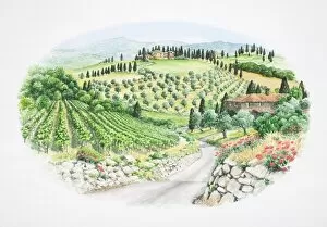 Panoramic view of green valley landscape with brick houses, vineyards, groves, poppies and cypress trees, front view