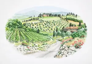 Hills Prints: Panoramic view of green valley landscape with brick houses
