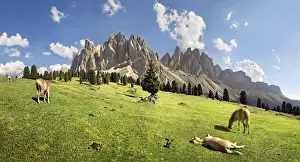 Sleep Prints: Panoramic view on Gschnagenhardt Alm alp with Haflinger horses and the Geisler Mountains