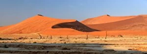 Panorama Collection: Panoramic view of Namib Desert Africa