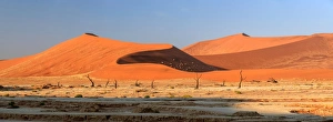 Panorama Collection: Panoramic view of Namib Desert Africa
