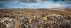 Panoramic views over the Tankwa Karoo Desert with dramatic thunderclouds in the sky